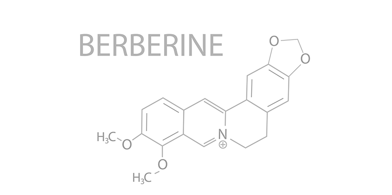 riesgos berberina usada como ozempic