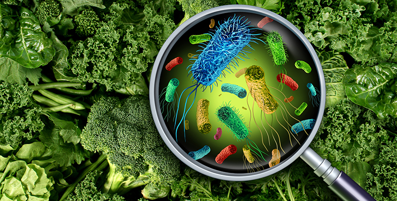 microbiota alimentos